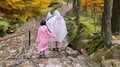いよいよ秋の行楽シーズン到来！ 「紅葉スポット」で必ず役立つ「便利アイテム」7選！  これから来る「見ごろ」を楽しむためにの画像002