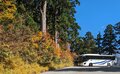 今週末の紅葉見るならどこ？ 名所＆人気スポットから最新情報をお届け「WEEKLY紅葉ニュース」【2023年10月第4週】の画像009