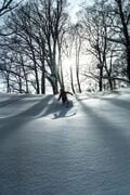粉雪を巻き上げろ！「気分は一流ライダー」 バックカントリー界隈の憧れ　有名プロカメラマン同行の雪山滑走フォトツアーに参加してみた【長野県白馬BC 2025年】の画像010