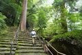 【世界遺産・熊野古道】初めての「熊野古道」歩きにおすすめ！  1000年前の石畳の巡礼路から熊野那智大社、那智の滝までを3時間で満喫する「大門坂ルート」の画像009