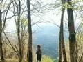 手が届きそうなほど「富士山」が近い！  精進湖畔から涼しく登れて、歩きごたえアレンジもOK「パノラマ台＆三方分山」周回ハイキングの画像002