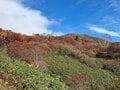【2024年11月 第1週】今週末の紅葉の見ごろは？ 名所＆人気スポットの最新情報をお届け「WEEKLY紅葉ニュース」の画像017