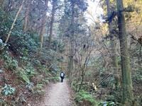 不動の人気「高尾山」！ 静かな「山歩き」を愉しむ「上り6号路・下り稲荷山コース」の魅力！ 見どころ「実踏」レポート