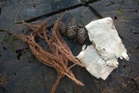 秋は “ナチュラル着火剤” 収穫のシーズン「焚き火に不可欠な自然の恵み」をガンガン拾える！【焚き火の話vol.11】