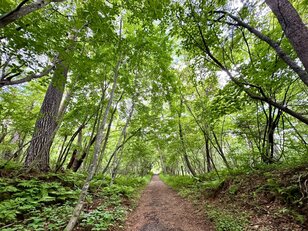 国民的「避暑＆別荘」地でハイキング！  中軽井沢「小浅間山」 下山あとはグルメ・カフェで “ご当地” 堪能！ 「涼しい高原リゾートの1日」満喫レポ【長野県軽井沢町】