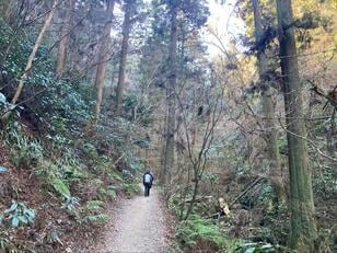 不動の人気「高尾山」！ 静かな「山歩き」を愉しむ「上り6号路・下り稲荷山コース」の魅力！ 見どころ「実踏」レポート