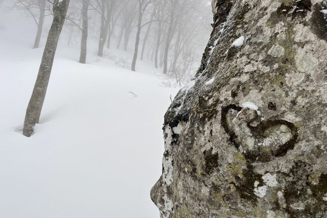“おとぎの国”に迷い込んだような静かなブナの森を行く「のんびりバックカントリーツアー」 JAPOWを楽しむ！【長野県鍋倉山】2026年の画像005