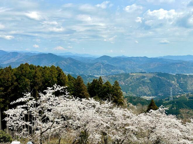 静岡の名低山「栗ヶ岳」 山頂まで1時間「かっぽしテラス」から「世界農業遺産」風景の絶景！  ゆる～いカモシカにも遭遇「登山レポ」の画像008