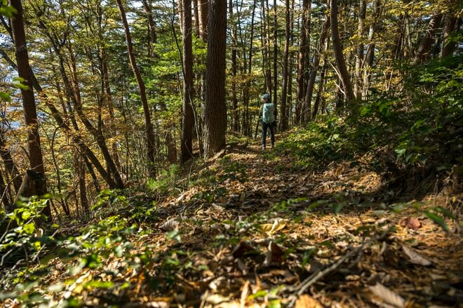 【京ヶ倉】名低山！ 険しい登山道の先に「信州のグランドキャニオン」 ここにしかない里山の絶景が広がる   長野県生坂村｜2025年の画像011