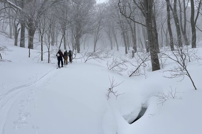 “おとぎの国”に迷い込んだような静かなブナの森を行く「のんびりバックカントリーツアー」 JAPOWを楽しむ！【長野県鍋倉山】2026年の画像006