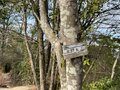室町時代の謂れが残る大阪近郊日帰りハイキングルート「星田古道」裏山新緑トレイルの魅力【里山アドベンチャー！ソトアソ日和 vol.10】の画像008