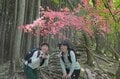 【電車で行ける】ヤマツツジの名所「日光・鳴虫山」へ　日帰りハイキング最新レポート＜2026年5月中旬＞の画像001