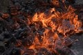 連休前に知りたい！「薪 vs 炭」BBQ料理に向いているのはどっち？【焚き火の話vol.30】の画像001