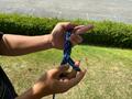 アウトドアシーンで役立つ「ロープの結び方」3選！  自在金具やハンギングロープの代わりになる結び方を解説【画像21枚】の画像003