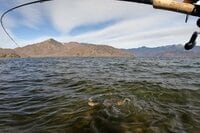 水中にも春が来た！ トラウトフィールド「中禅寺湖」での「ワカサギパターン」攻略のカギ「ホットケ釣法」とは！？【現地釣行20年ライターが解説】