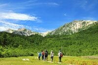 手軽にアクセス！  ファミリーで学べる北アルプスの「快適空間」＜長野県・栂池自然園＞