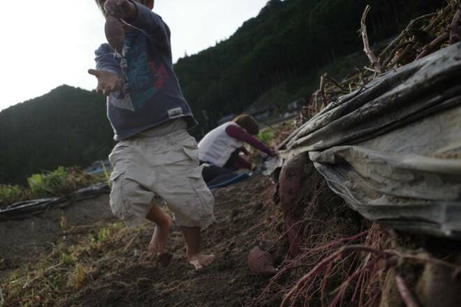 「意外に田舎の子は自然の中で遊べないってほんと？」 田舎で子育てをするメリットとデメリット＜後編＞【耕して、焙煎して、走る男　人口2,800人の村に移住してみました vol.10】の画像001