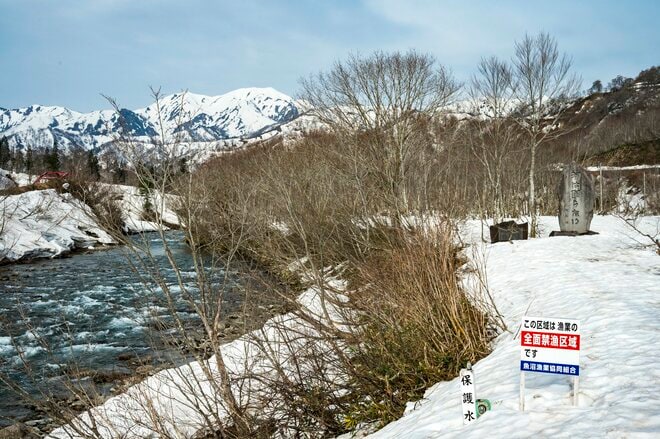 豪雪地にも春が来た！ 「奥只見エリア、待望の解禁日」 釣り人で賑わう銀山平【新潟県魚沼市】 2024年の画像004