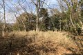 次々に現れる切岸に驚きの連続！  大勢力のはざまで揺れた小豪族の宿命　石見国・松山城〈前編〉（島根県江津市）【戦国の山城を攻める vol.03】の画像012
