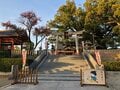 樹齢約800年！ 大迫力のクスノキ「百舌鳥八幡宮」夕暮れ時の美しさとゴルゴ13に背中を押され購入した千円の埴輪みくじの結果は！？【関西おみくじジャーニー vol.22／大阪府堺市】の画像008