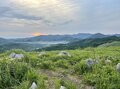 まるで「日本のスイス」！  広大な景色が広がる「四国・福岡・山口」の「日本三大カルスト」の魅力とは？の画像005