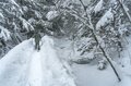 自然豊かな「乗鞍高原」は冬のアクティビティが満載！  大迫力の氷瀑が待つ「善五郎の滝」スノーシュー体験は感動モノ【長野県松本市】の画像007