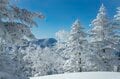 「どっち向いても・どこ撮っても絶景かよ」志賀高原 焼額山スキー場の雪景色！ “シーズン一番” 奇跡の一日【The Day】上信越高原国立公園・長野県の画像006