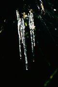 カメラ初心者でも「これだけおさえておけばうまく撮れる！」瑞牆山でのんびり写活登山！の画像003