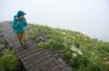 【八方尾根】SNS映え間違いなし!?  幻想的な光景を鏡のように映す「八方池トレッキング」 下山後は山麓のアウトドアショップめぐりも！【長野県・白馬村】の画像009