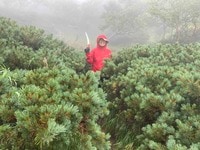 ＜初の登山道整備・実践編＞登山道はこうして維持されています！【わたし、山小屋はじめます vol.13】