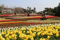 「2022年夏の女子旅」は兵庫県・淡路島で決まり！「癒しの猫カフェ・絶品ハモ料理・幸せのパンケーキ・一面の花畑」が楽しめる「満喫モデルコース」とは？