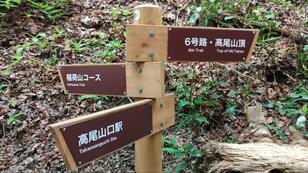 「日帰り登山」のルート計画「ピストン」にするか「周回」にするか？ コース多彩「高尾山」での「メリット＆デメリット」実体験レポ