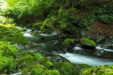 群馬県神流川上流部自然の石18センチ1406ｇ卓上観賞用 上流の石 | Corvet Photo Agency