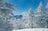 「どっち向いても・どこ撮っても絶景かよ」志賀高原 焼額山スキー場の雪景色！ “シーズン一番” 奇跡の一日【The Day】上信越高原国立公園・長野県の画像006