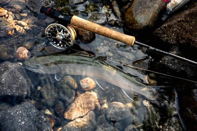 【渓流釣り】「まだまだ渓流で釣りができるなんて幸せ」 ロスを満たしてくれる守門川・吉ヶ平フィッシングパークへ   新潟県｜2026年の画像004