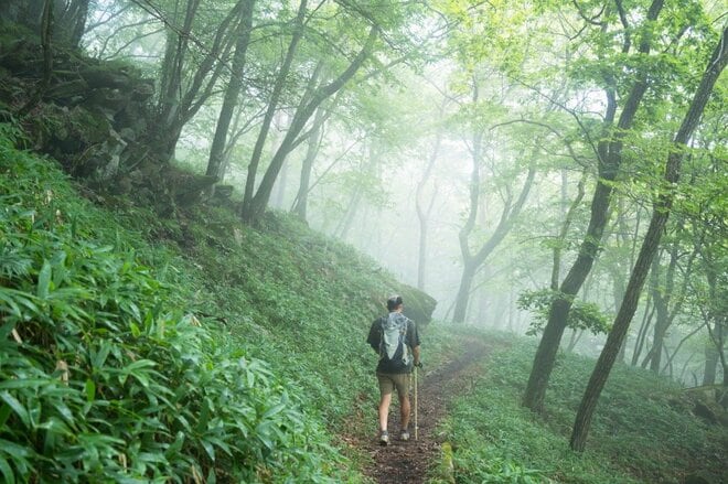 【日帰りでもしっかり登りたい！】首都圏からのアクセス＆登り応え抜群「八ヶ岳・編笠山と権現岳」の画像006