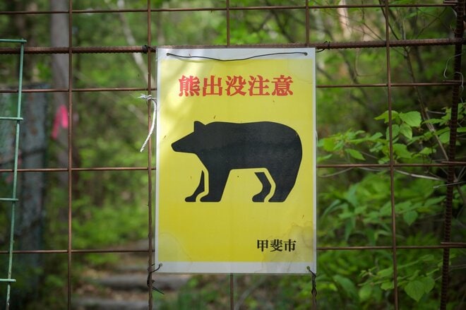 「山の上にビーチ」が出現！  ロープウェイを賢く下山に使う静かでお手軽な穴場ルート“羅漢寺山＆白砂山”への画像005