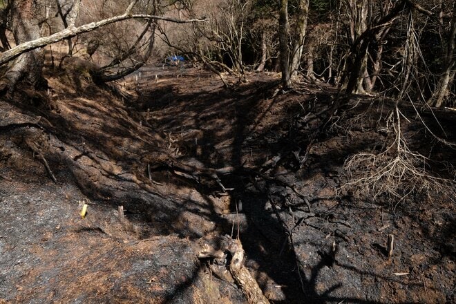 【各地で相次ぐ山火事】丹沢の人気ルート「大倉尾根」の通行止めが解除の画像005