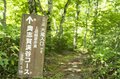 【夏休み】涼を求めて！ 猛暑からの逃避行「滝めぐり・奥志賀渓谷で原生林トレッキング」長野県・志賀高原の画像003