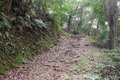 「山に登って船を見る」の真相とは？  大分県佐伯市「濃霞山」山頂からの意外すぎる絶景の画像003