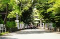 どうするゴールデンウィーク！？  徳川家康を祀る「上野東照宮」ぼたん苑で江戸風情に包まれる【東京都・台東区】の画像003