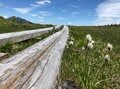 首都圏からアクセス良好「鳩待峠」から “天空の楽園” アヤメ平、尾瀬ヶ原を経て「至仏山」 周回ルートで尾瀬を1泊2日で満喫【群馬県片品村】の画像002