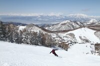 【志賀高原マウンテンリゾート特集・第5回】広大な志賀高原 “どこのゲレンデに行くか迷っているなら” まずは中央エリアへ「東館山＆西館山、発哺ブナ平、寺小屋、高天ヶ原マンモス、タンネの森、一の瀬」