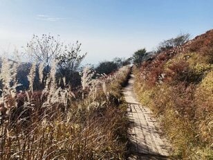 猛暑は去ったけど… 実は難しい「秋の登山」天候＆コンディション！  予想外の「暑かった＆寒かった」ほか「備えたいこと」5選【実体験レポ】