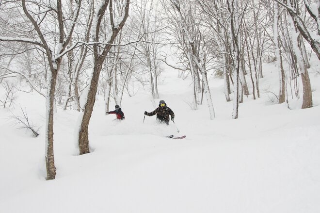 【湯沢中里スノーリゾート 2025/26シーズン】合言葉は「#降ったら中里」！  新潟 湯沢町のフリーライドの穴場を徹底紹介！の画像005