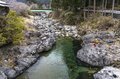 清流「大芦川」解禁日！【驚愕の人出】で大盛況！ 水面を割って躍り出る「美ヤマメ」の春・2022年4月の画像001