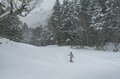 【のりくら温泉郷】日常を離れて非日常を味わう“リトリート旅”  北アルプスから贈られた癒しのプレゼント「3つの源泉」と「名物地元料理」（長野県松本市）の画像003