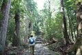 【世界遺産・熊野古道】初めての「熊野古道」歩きにおすすめ！  1000年前の石畳の巡礼路から熊野那智大社、那智の滝までを3時間で満喫する「大門坂ルート」の画像004