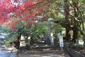 新年の「初登り」は百名山へ！ 「筑波山」男体山からの「富士山」絶景！ 筑波山神社＆山頂本殿お参り「御幸ヶ原コース」＆下りはケーブルカーもOK「現地レポ」の画像001