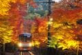京都「紅葉の奥座敷・パワースポットめぐり」約2時間ハイキング！  源義経ゆかり「鞍馬寺」から、イベント盛りだくさん「貴船神社」錦秋レポの画像022